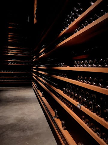 Cellar of Château Pédesclaux